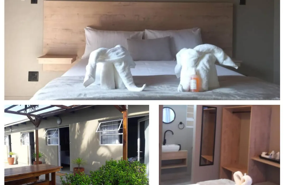 The Mole Guesthouse-1