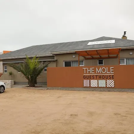 The Mole Guesthouse-3